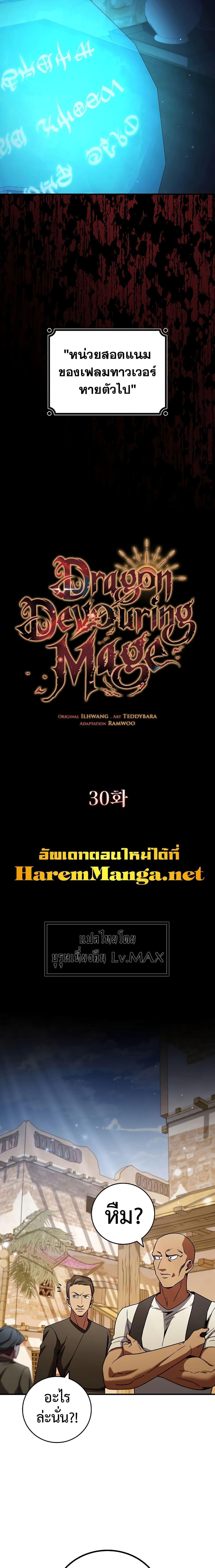 Dragon-Devouring Mage ตอนที่ 30 5